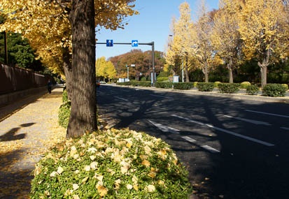 201112111212-DSC09828.jpg