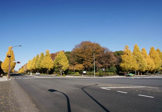 201112111215-DSC09832.jpg