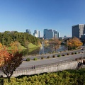 201112111226-DSC09863.jpg