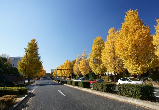 201112111248-DSC09895.jpg