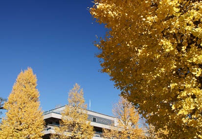 201112111254-DSC09901.jpg