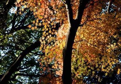 201112111348-DSC09914.jpg