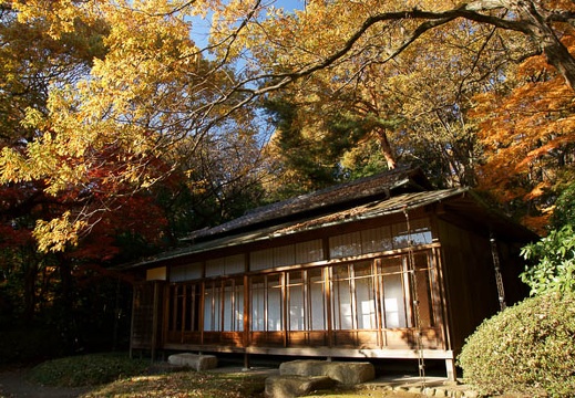 201112111357-DSC09919.jpg