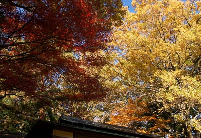201112111359-DSC09924.jpg