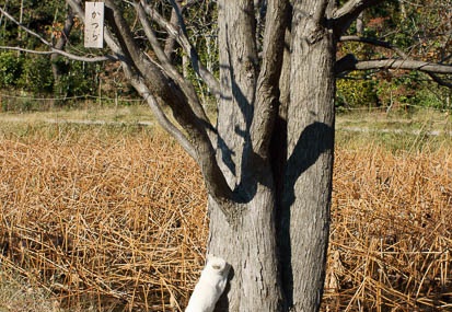 201112121016-DSC00153.jpg
