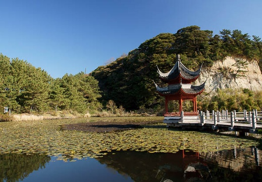 201112121123-DSC00308.jpg
