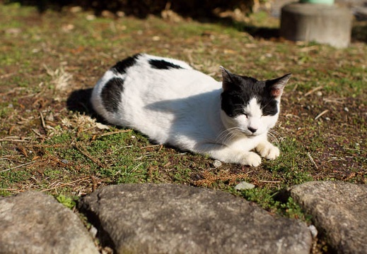 201112121158-DSC00385.jpg