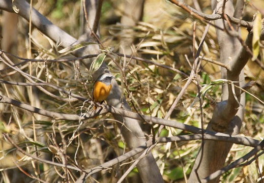 201112121205-DSC00402.jpg