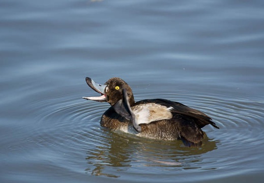 201112121248-DSC00497.jpg