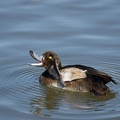 201112121248-DSC00497.jpg
