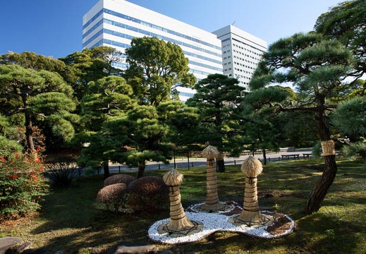 201112131002-DSC00718.jpg