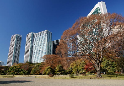 201112131010-DSC00730.jpg