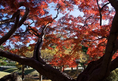 201112131020-DSC00755.jpg