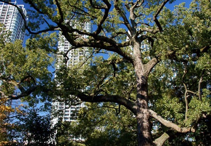 201112131028-DSC00767.jpg