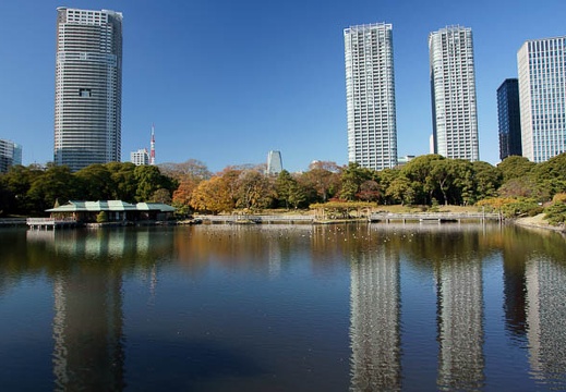 201112131110-DSC00843.jpg