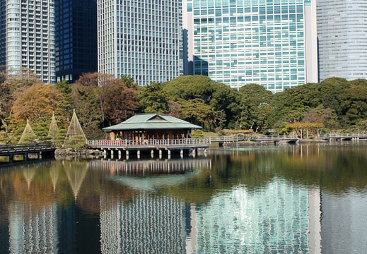201112131117-DSC00855.jpg