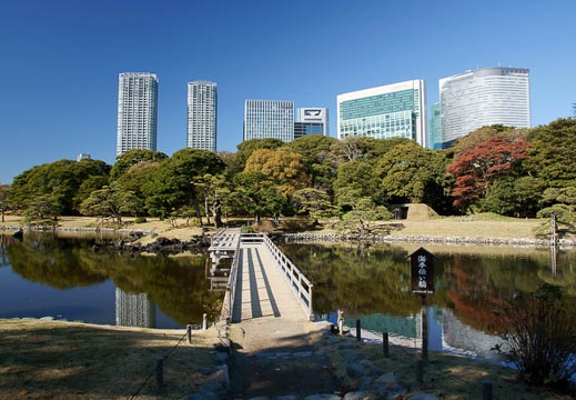 201112131151-DSC00905.jpg