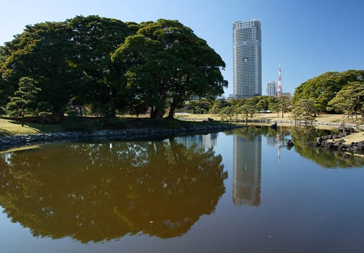 201112131152-DSC00908.jpg