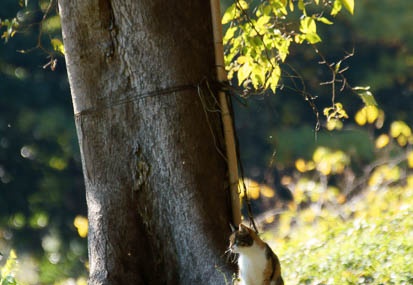 201112131202-DSC00924.jpg