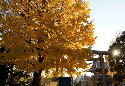 201112131457-DSC01235.jpg