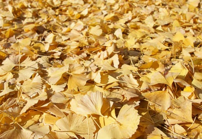 201112151033-DSC01273.jpg