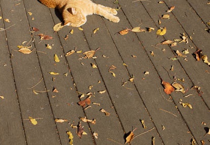 201112151053-DSC01339.jpg