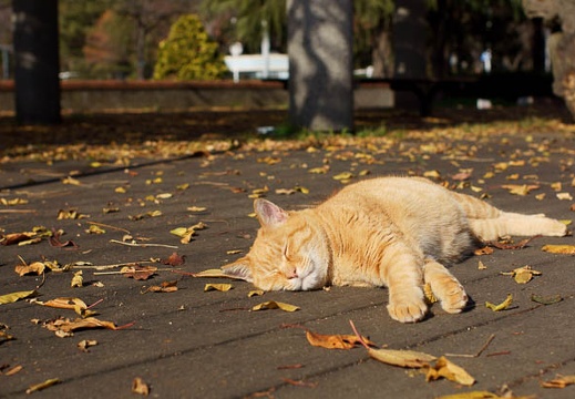 201112151055-DSC01350.jpg
