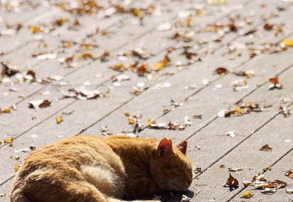 201112151104-DSC01391.jpg