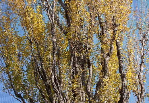 201112151134-DSC01453.jpg