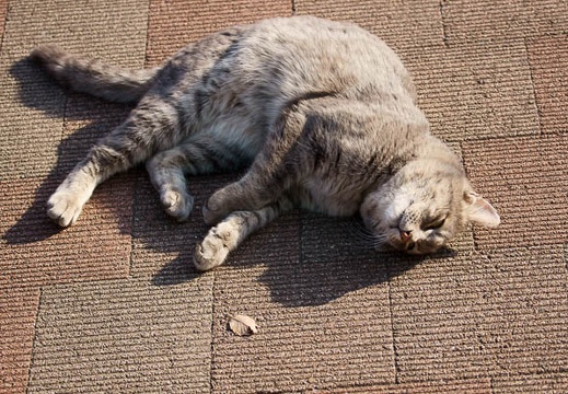 201112151301-DSC01543.jpg