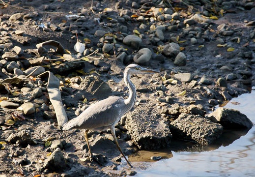 201112151319-DSC01577.jpg