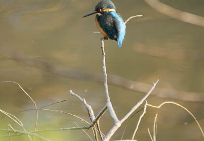 201112151409-DSC01763.jpg