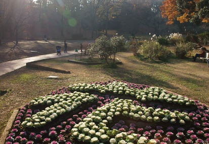 201112151418-DSC01787.jpg
