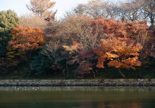 201112151422-DSC01797.jpg