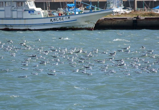 201112161319-DSC02033.jpg