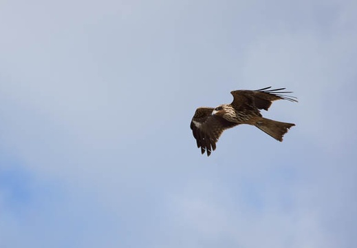201112161320-DSC02042.jpg