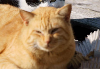 201112161327-DSC02087.jpg