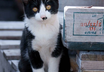 201112161331-DSC02104.jpg