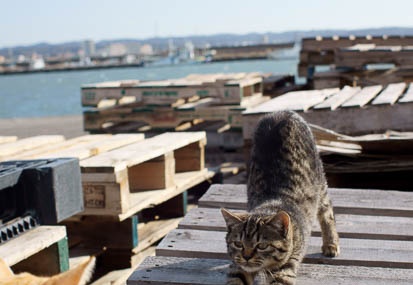201112161347-DSC02170.jpg