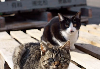 201112161349-DSC02181.jpg