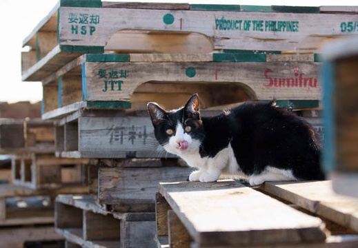 201112161403-DSC02235.jpg