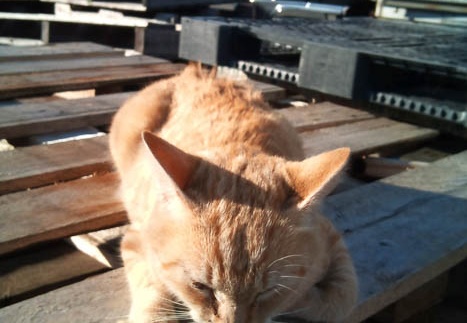 20111216141226-SO-01B.jpg
