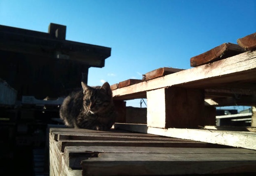 20111216141237-SO-01B.jpg