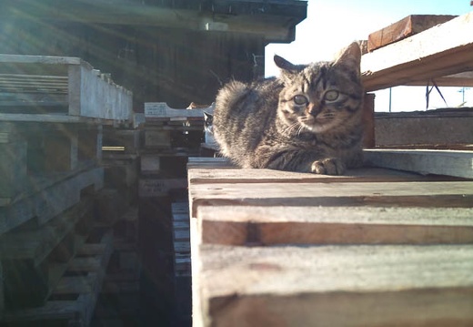 20111216141300-SO-01B.jpg