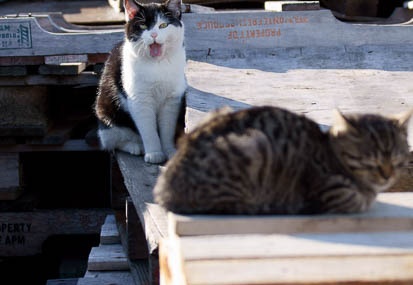 201112161414-DSC02267.jpg