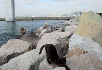 201112191018-DSC02734.jpg