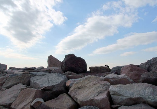 201112191038-DSC02770.jpg