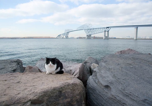 201112191039-DSC02776.jpg