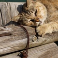 201112191114-DSC02825.jpg