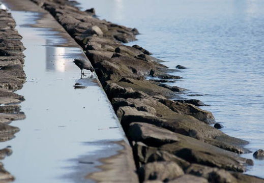 201112191300-DSC02994.jpg